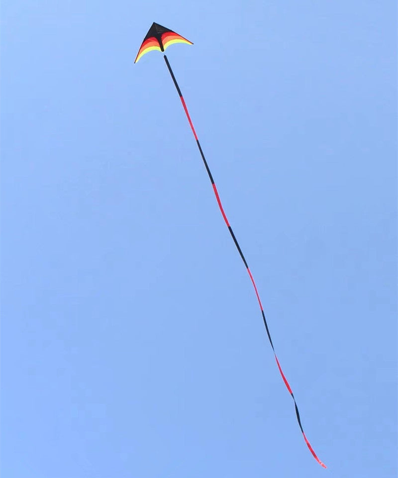 free shipping delta kites 6m tails flying toys for children kites fabric ripstop nylon outdoor sports beach kites factory ikite