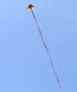 free shipping delta kites 6m tails flying toys for children kites fabric ripstop nylon outdoor sports beach kites factory ikite