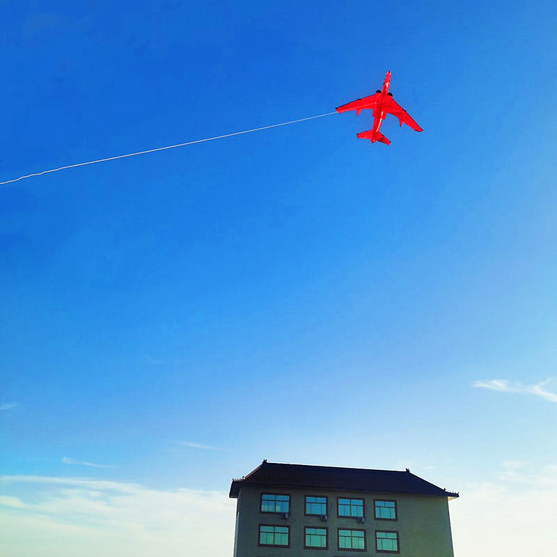 Free Shipping large kites flying plane kites for adults kites string line snake coil ripstop rainbow high wind pointer Kevlar