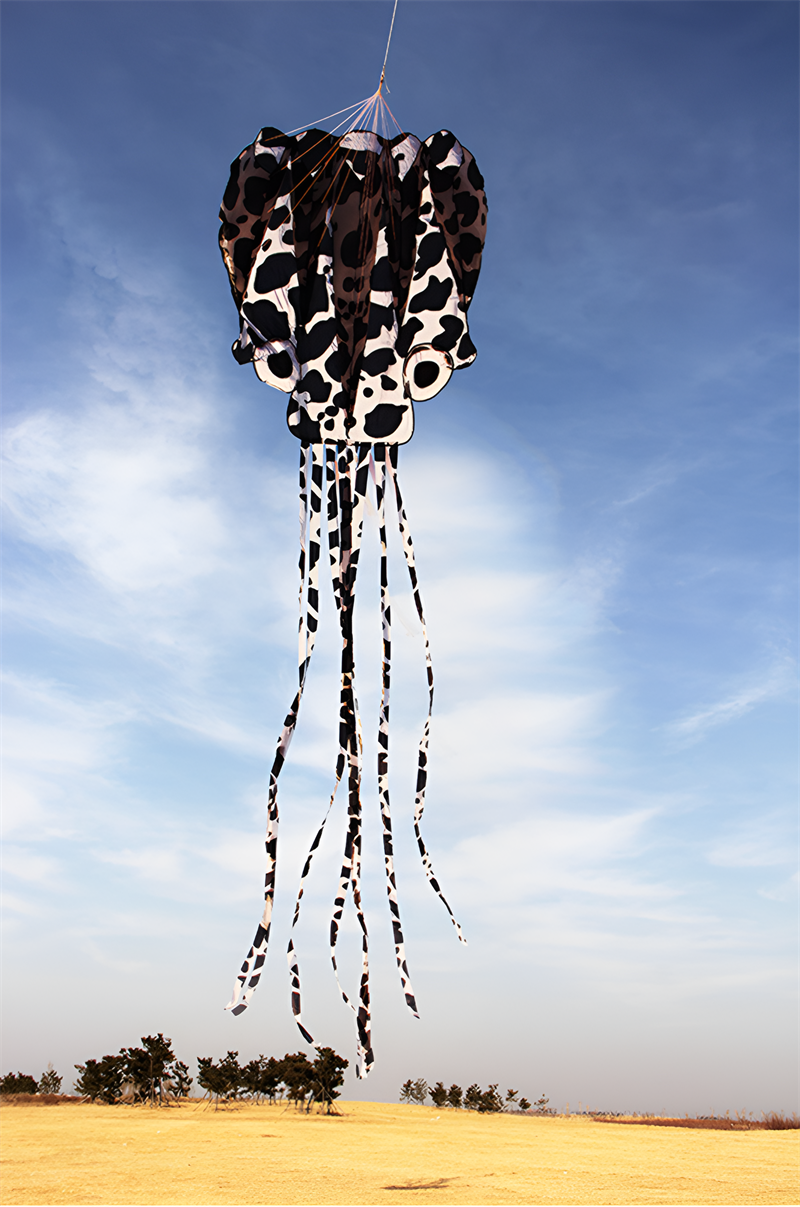 free shipping new octopus kites flying toys for children kites line professional winds kites factory adults kites kitesurf koi