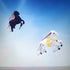 Free Shipping large kites flying pendant kites shows horse kites windsocks kites parafoil inflatable toys outdoor games kitesurf