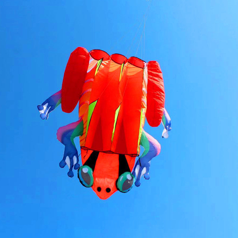 free shipping frog kite flying soft kite for adults kite line windsurf outdoor toys inflatable kite professional kite reel koi