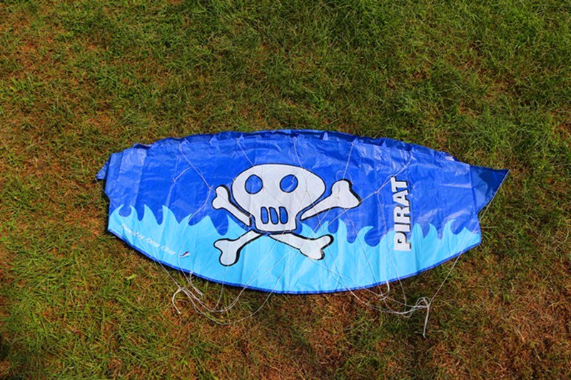 Free Shipping dual line stunt kites power kites flying for new beginner kite surf beach kites factory paragliding flying wing