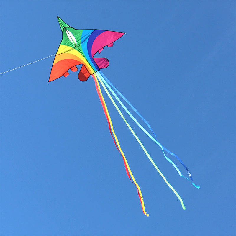 free shipping rainbow plane kites for children kites flying fighter kite line outdoor kites toys professional wind kite factory