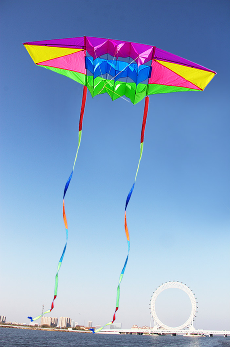 free shipping 2.5m Radar kites flying for children kites glider kites toys parafoil kite 3d kites professional paragliding adult