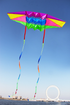 free shipping 2.5m Radar kites flying for children kites glider kites toys parafoil kite 3d kites professional paragliding adult