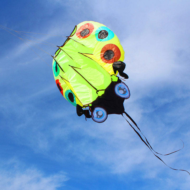 free shipping large ladybug 3D soft kite outdoor flying toys kites for adults vlieger kitesurf kite reel weifang kite factory