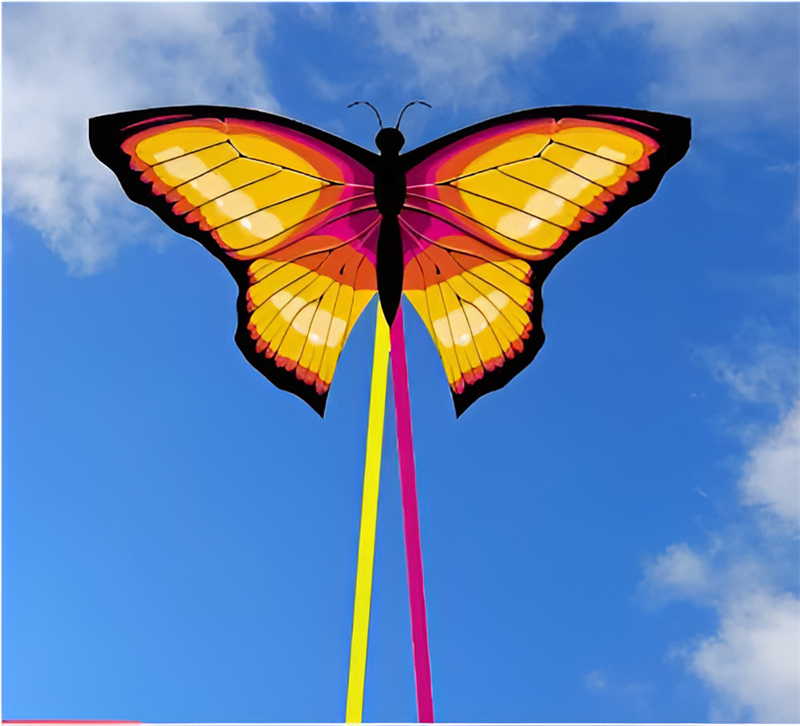 free shipping new butterfly kite flying toys for children kites and rays and lines wind kites line reel volantines Parachute