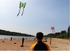 free shipping butterfly kite outdoor children kite flying toys ripstop nylon birds eagle kite parachute weifang kite factory new