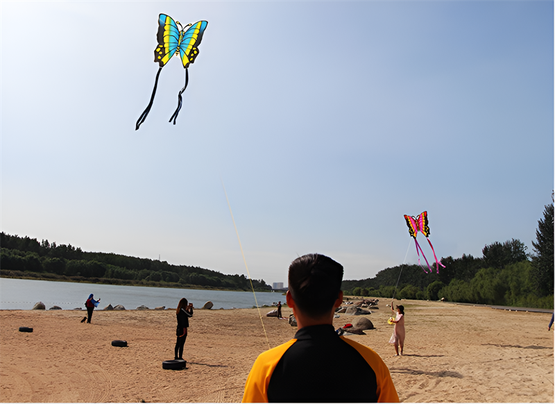 free shipping butterfly kites flying toys for children kites line nylon kites surf professional wind kites volantines child kite