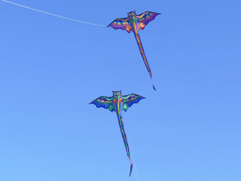 free shipping dragon kites flying toys for children kites reel nylon ripstop kites line birds kites factory japanese fish kite