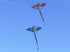 free shipping dragon kites flying toys for children kites reel nylon ripstop kites line birds kites factory japanese fish kite