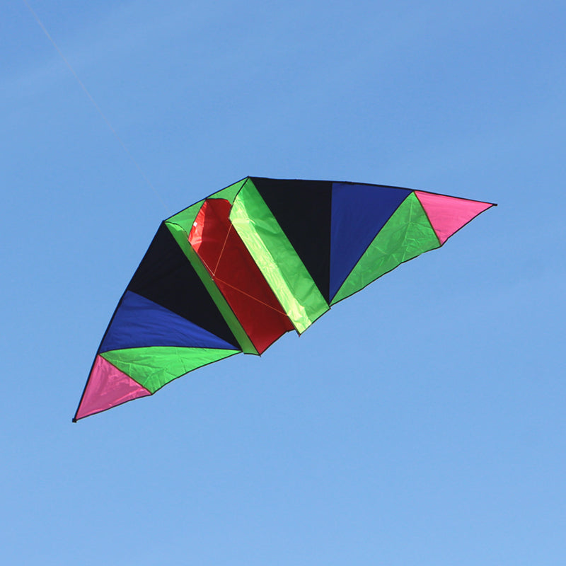 free shipping 3m glider kites for adults kites professional wind kites factory ripstop nylon kites factory paraglide windsurfing
