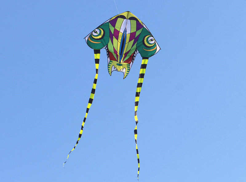 free shipping kids kites flying toys for children kites trilobites kites snakes kite factory eagle kite reel single line kites