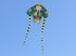free shipping kids kites flying toys for children kites trilobites kites snakes kite factory eagle kite reel single line kites