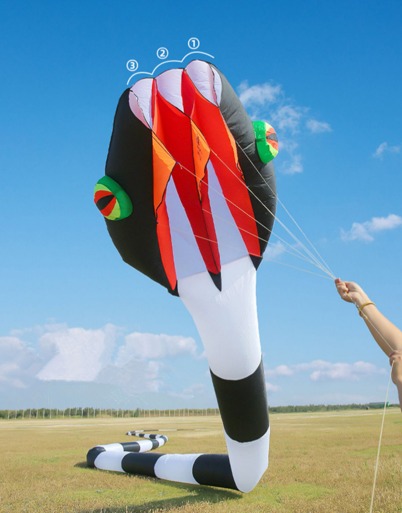 free shipping 3d kites flying snake kites for adults kites parachute inflatable kite dragon flight kite windsurfing professional