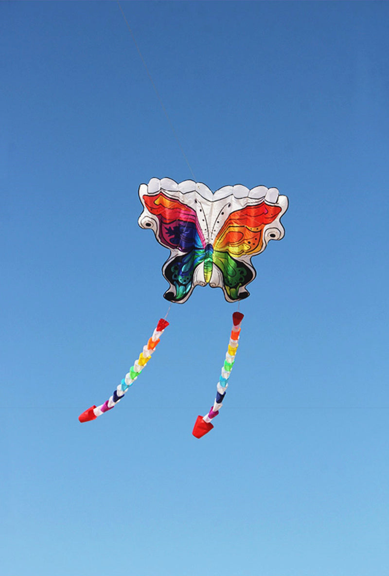 free shipping new kites flying butterfly kites nylon kites factory professional winds kites reel delta wing to fly kite handle
