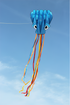 free shipping new octopus kites flying toys for children kites line professional winds kites factory adults kites kitesurf koi