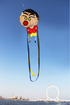 free shipping children kite flying soft kite for adults kites string walk in sky professional kite factory ballan rope outdoor