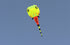 free shipping tadpole kite flying big soft kites fabric adults kites toy animal kite professional kite octopus factory parachute