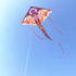 free shipping dragon kites flying toys for children kites line eagle kite factory snake kite for kids kites nylon kites factory