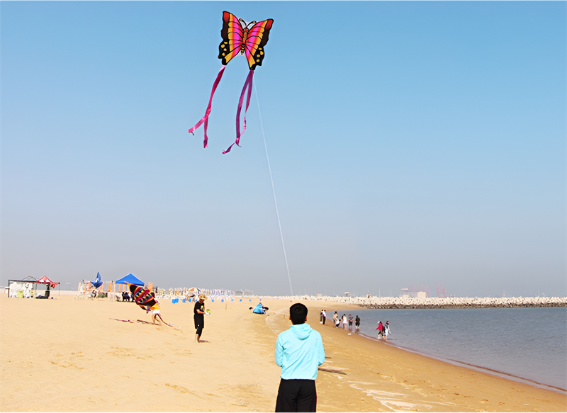 free shipping butterfly kites flying toys for children kites line nylon kites surf professional wind kites volantines child kite