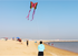 free shipping butterfly kites flying toys for children kites line nylon kites surf professional wind kites volantines child kite