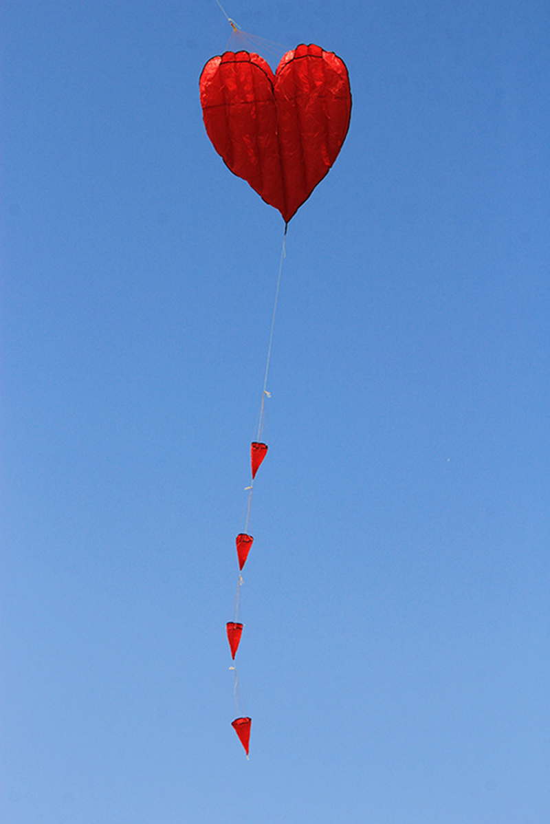 free shipping soft kites flying heart kites for adults kites and rays and lines love kites factory volantines paraglider fishing