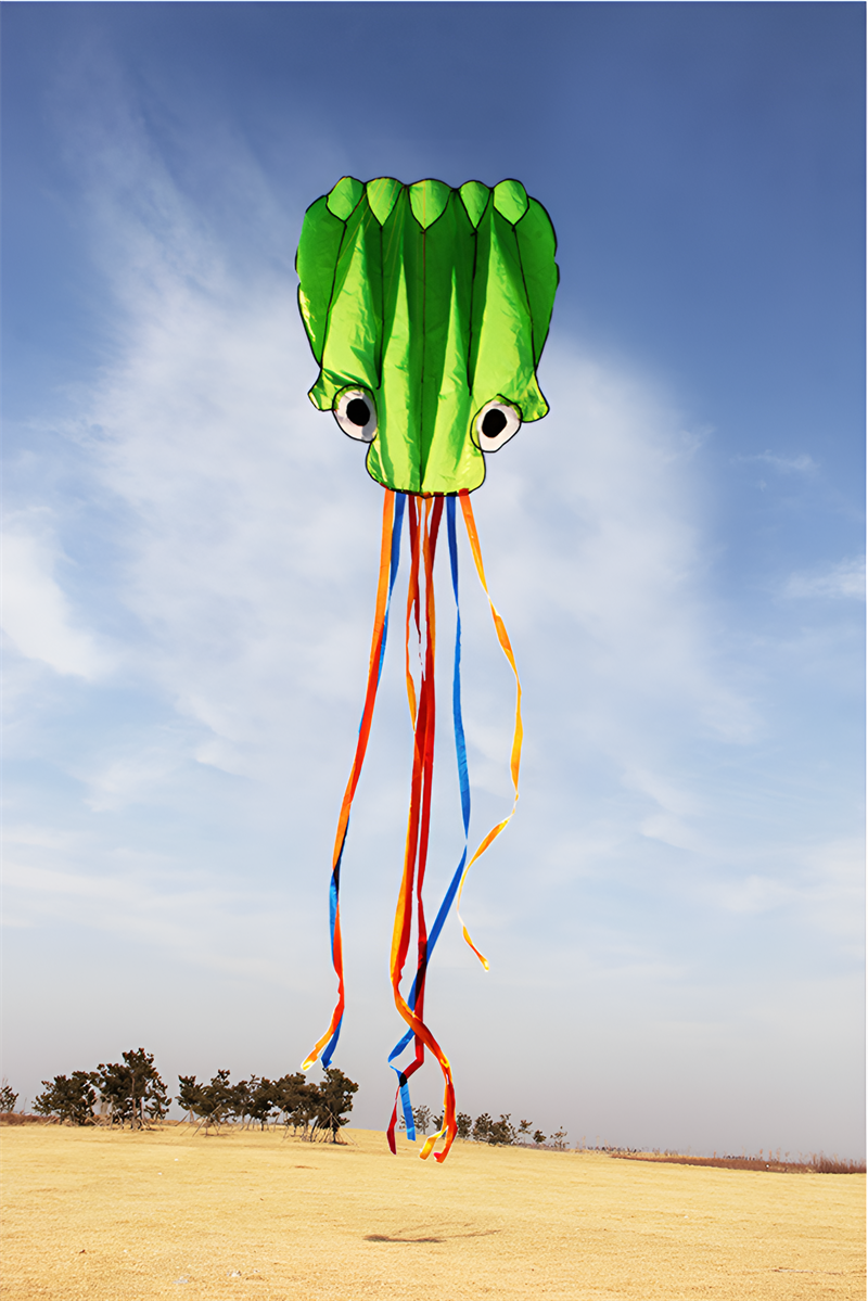 free shipping octopus kite flying soft kites toys for children kite factory walk in sky outdoor fun sports beach kites koi ikite