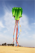 free shipping octopus kite flying soft kites toys for children kite factory walk in sky outdoor fun sports beach kites koi ikite