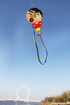 free shipping children kite flying soft kite for adults kites string walk in sky professional kite factory ballan rope outdoor