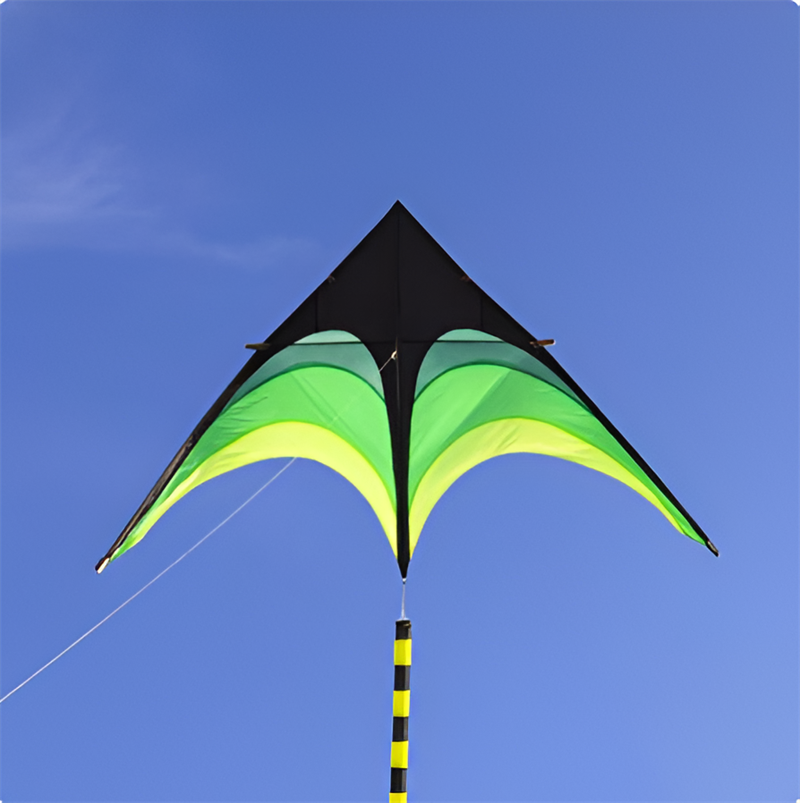 Free shipping children kites flying toys professional wind kites string line ripstop nylon kites factory kites for kids rainbow