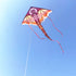 free shipping 10pcs/lot dragon kites flying toys for kids kites line wholesale kite factory children kites weifang kites koi