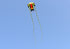 free shipping trilobites kite flying for adults kites inflatable professional kites octopus kite ikite jellyfish soft kites koi