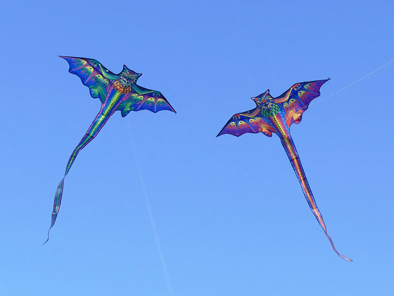 free shipping dragon kites flying toys for children kites reel nylon ripstop kites line birds kites factory japanese fish kite