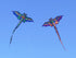 free shipping dragon kites flying toys for children kites reel nylon ripstop kites line birds kites factory japanese fish kite