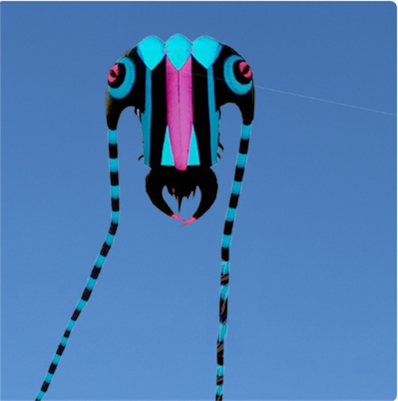 7sqm Big Trilobite Kite Pilot Lifter Line Laundry Soft Inflatable Show Kite for Kite Festival 30D Ripstop Nylon with Bag