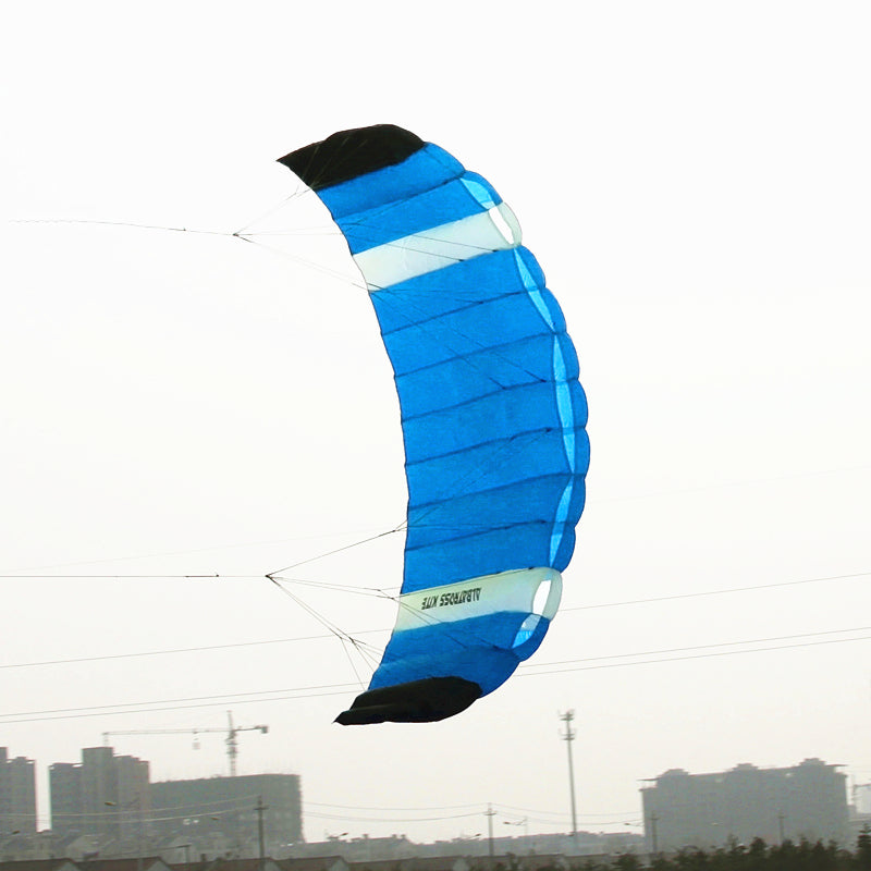 free shipping dual Line Stunt flying power Kite rainbow large soft kites for adults stingray kite ripstop nylon fabric kite reel