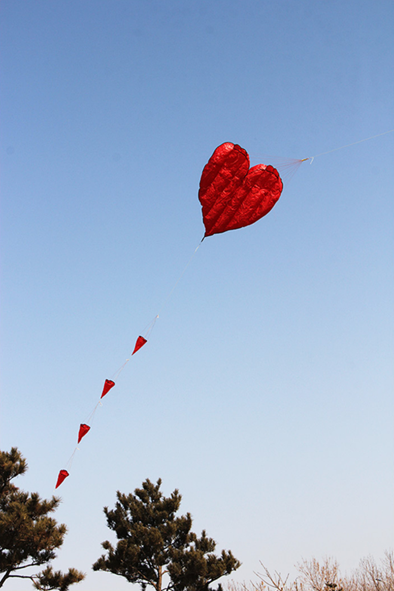 free shipping soft kites flying heart kites for adults kites and rays and lines love kites factory volantines paraglider fishing