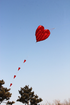 free shipping soft kites flying heart kites for adults kites and rays and lines love kites factory volantines paraglider fishing