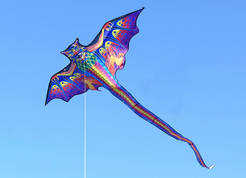 free shipping dragon kites flying toys for children kites reel nylon ripstop kites line birds kites factory japanese fish kite
