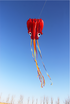 free shipping new octopus kites flying toys for children kites line professional winds kites factory adults kites kitesurf koi