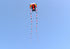 free shipping trilobites kite flying for adults kites inflatable professional kites octopus kite ikite jellyfish soft kites koi