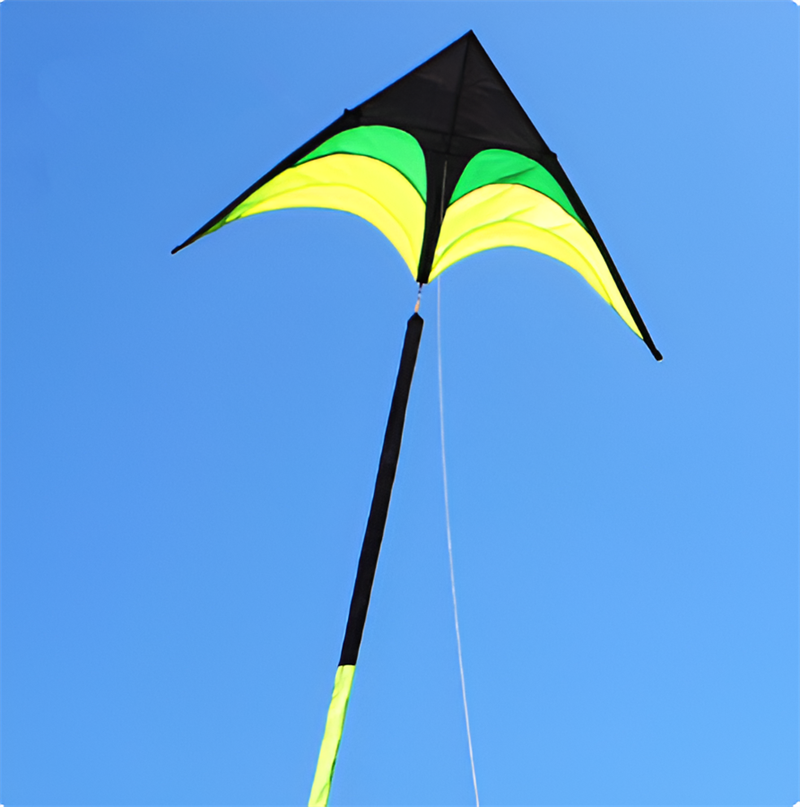 Free shipping children kites flying toys professional wind kites string line ripstop nylon kites factory kites for kids rainbow