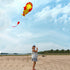 free shipping large soft kite dolphin kite nylon kite line animated kites flying inflatable kite reel outdoor fun toys Parafoil
