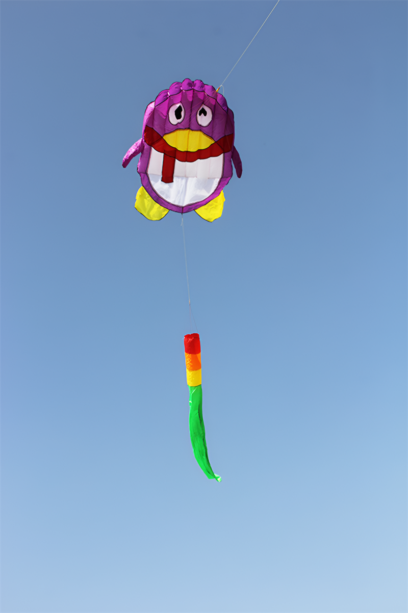 free shipping penguin kites flying toys for children kites new cartoon kites factory inflatable kite windsurf sail dragon wind