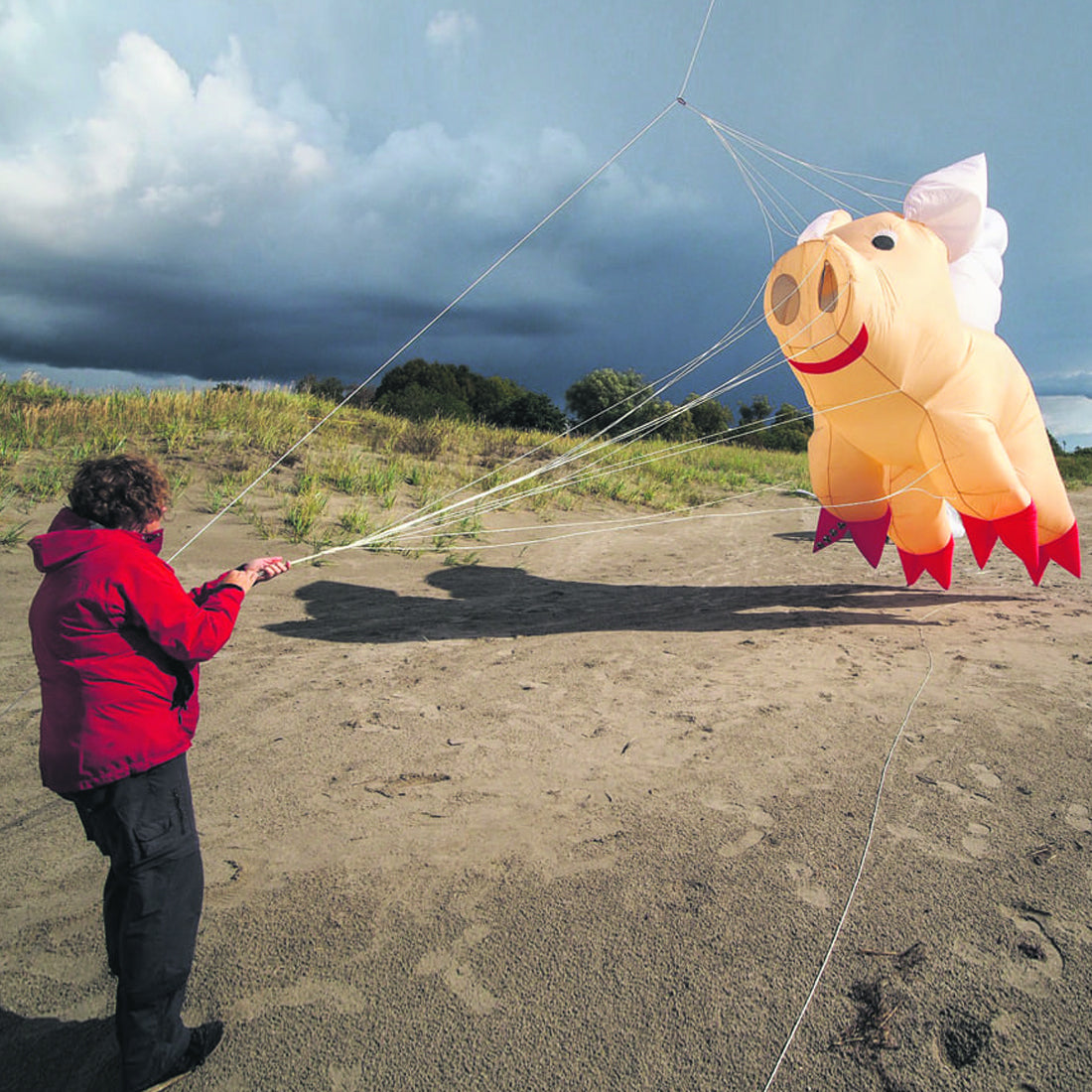Free Shipping 3m Pig Kite Line Laundry Pendant Soft Inflatable Show Kite for Kite Festival 30D Ripstop Nylon with Bag