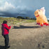 Free Shipping 3m Pig Kite Line Laundry Pendant Soft Inflatable Show Kite for Kite Festival 30D Ripstop Nylon with Bag
