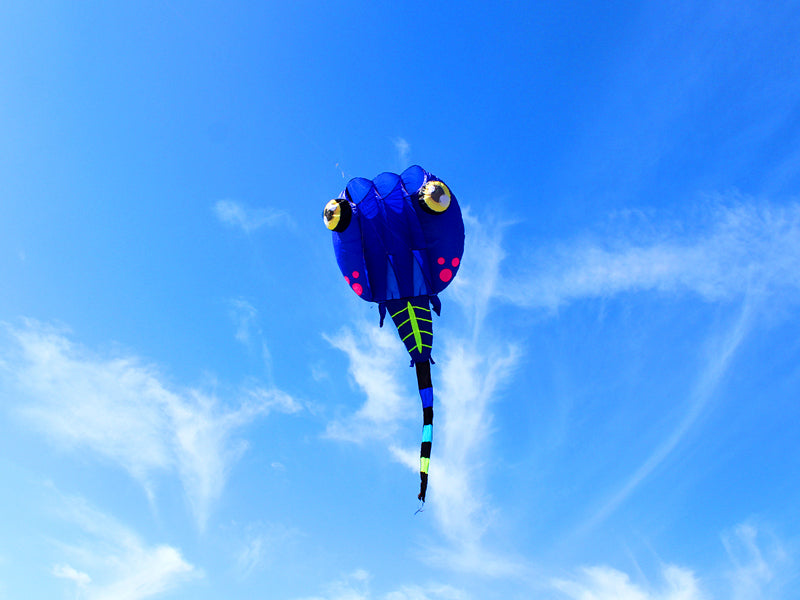free shipping large tadpole kite fabric soft kites for adults reel toy animal kite professional kite octopus factory parachute