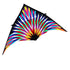 free shipping 6sqm large delta kite for adults reel outdoor toys for kids parachute kite kevlar line weifang factory kitesurf
